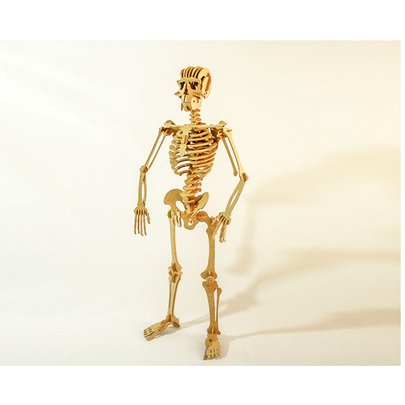 Quebra-Cabeça 3D Esqueleto Humano 109 Peças - Dinobrinque