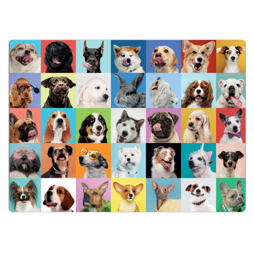 Quebra-Cabeça 500 Peças Mosaico de Cachorro - Toyster
