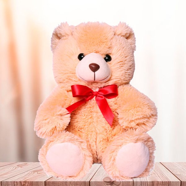 Urso de Pelúcia Dudu