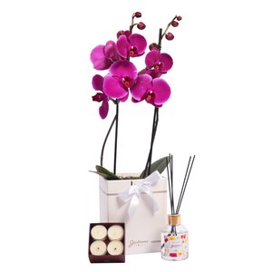 Imagem de Encontro Floral Giuliana Flores e Orquídea Pink no Box Primor