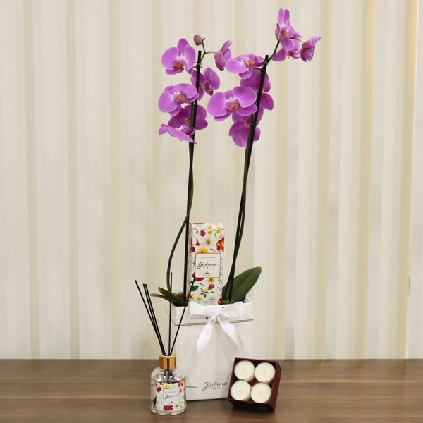 Orquídea Pink no Box e  Linha Aromática Giuliana Flores