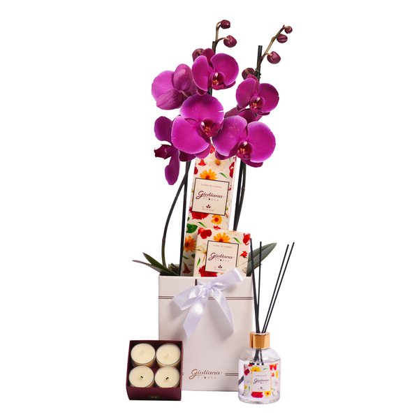 Orquídea Pink no Box e  Linha Aromática Giuliana Flores