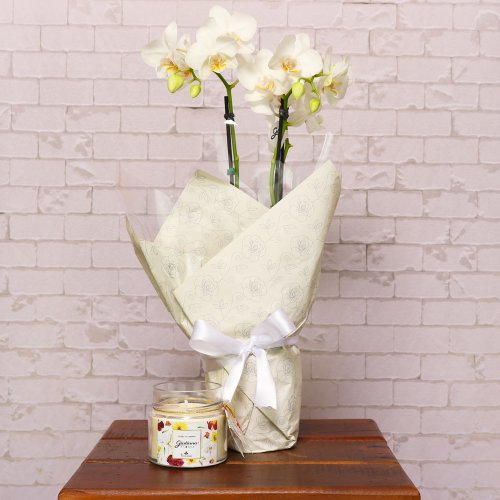 Mini Orquídea Branca e Vela Aromática Giuliana Flores