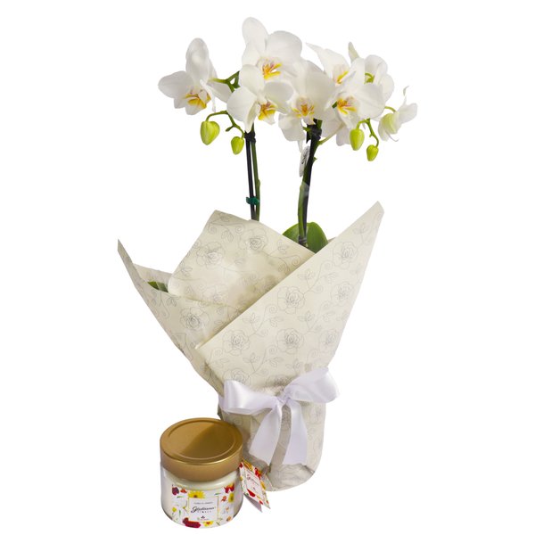 Mini Orquídea Branca e Vela Aromática Giuliana Flores
