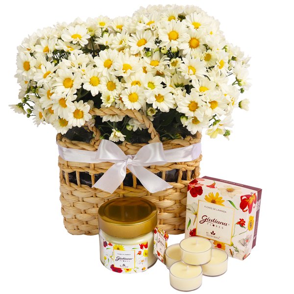Piquenique de Margaridinhas e Velas Aromáticas Giuliana Flores