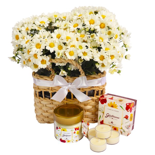 Piquenique de Margaridinhas e Velas Aromáticas Giuliana Flores