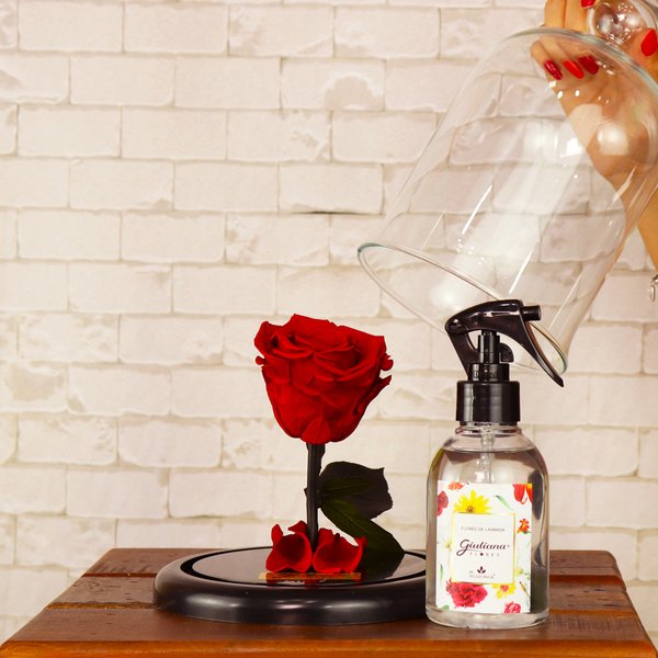 Mini Rosa Encantada e Home Spray da Linha Aromáticas Giuliana Flores
