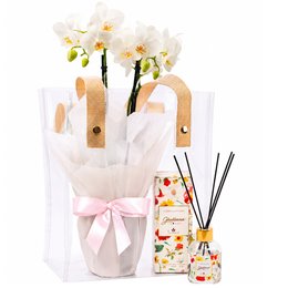 Imagem de Bolsa Cristal com Mini Rara e Linha Aromáticas Giuliana Flores