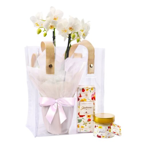 Bolsa Cristal com Mini Rara e Linha Aromáticas Giuliana Flores