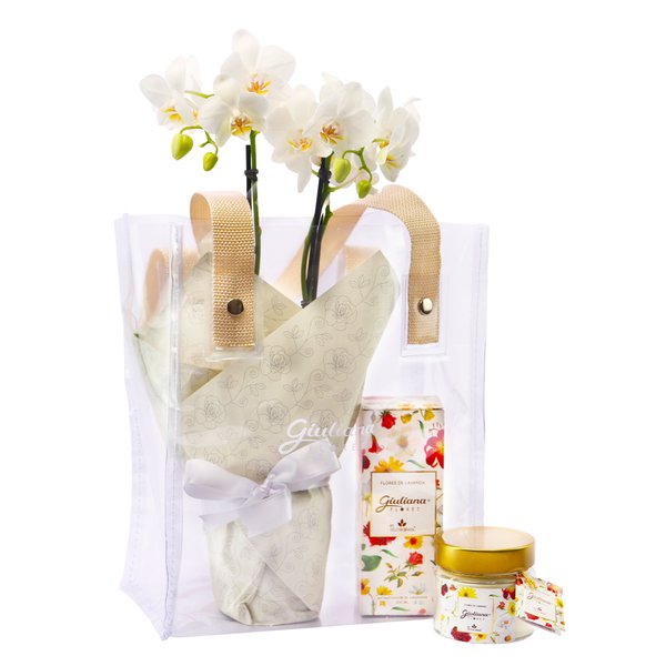 Bolsa Cristal com Mini Rara e Linha Aromáticas Giuliana Flores