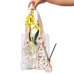 Imagem de Difusor Encontro Floral Giuliana Flores e Bolsa Cristal Chuva de Ouro