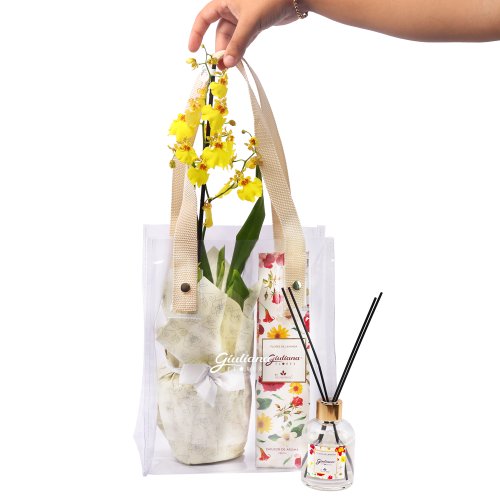 Bolsa Cristal  Chuva de Ouro e Home da Linha Aromática Giuliana Flores