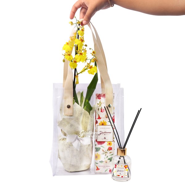 Bolsa Cristal  Chuva de Ouro e Home da Linha Aromática Giuliana Flores