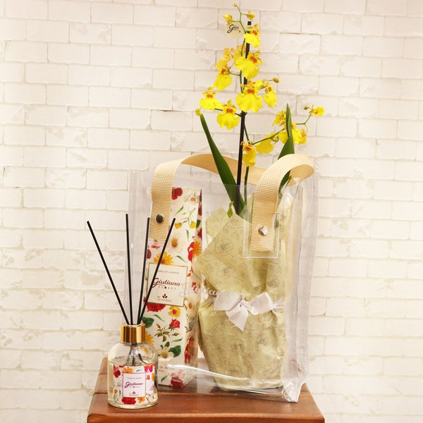 Bolsa Cristal  Chuva de Ouro e Home da Linha Aromática Giuliana Flores