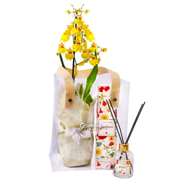 Bolsa Cristal  Chuva de Ouro e Home da Linha Aromática Giuliana Flores