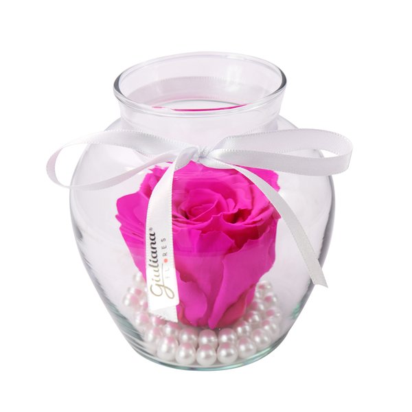 Beleza da Rosa Encantada Pink