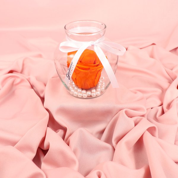 Beleza da Rosa Encantada Laranja