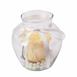 Imagem de Beleza da Rosa Encantada Champanhe