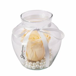 Imagem de Beleza da Rosa Encantada Champanhe