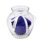 Beleza da Rosa Encantada Azul