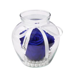 Imagem de Beleza da Rosa Encantada Azul