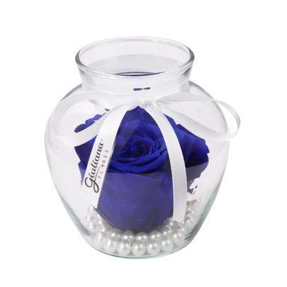Beleza da Rosa Encantada Azul