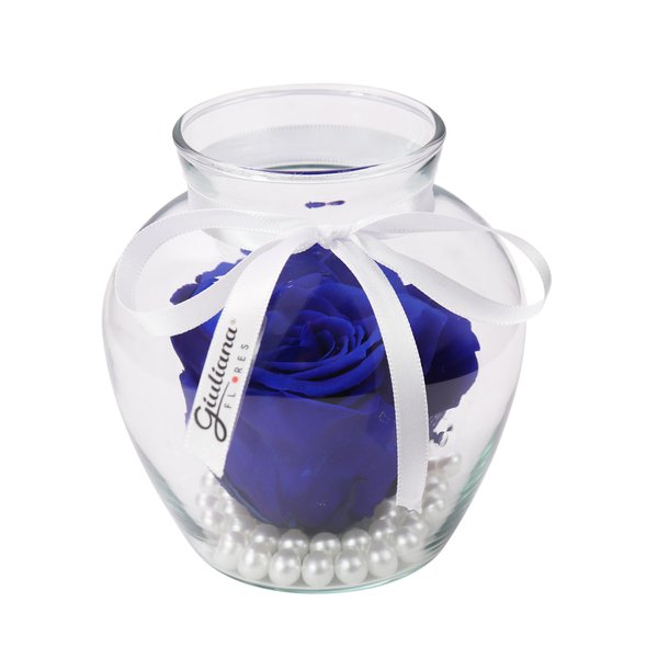 Beleza da Rosa Encantada Azul