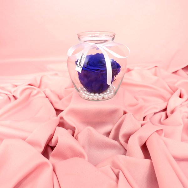 Beleza da Rosa Encantada Azul