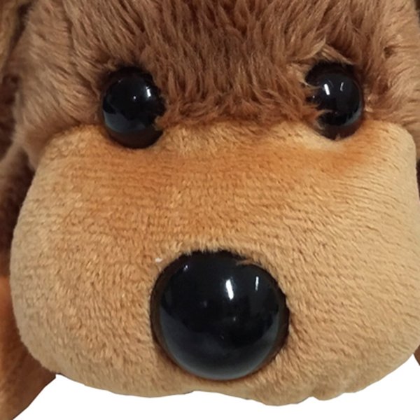 Cachorro Dengoso