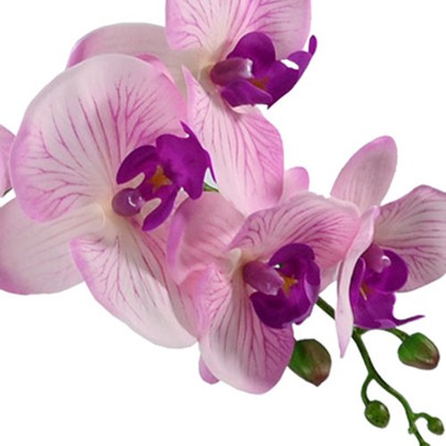 Orquídea Mesclada Artificial
