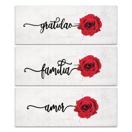 Imagem de Kit 3 Placas Decorativas Frase Gratidão e Amor 40x15 cm