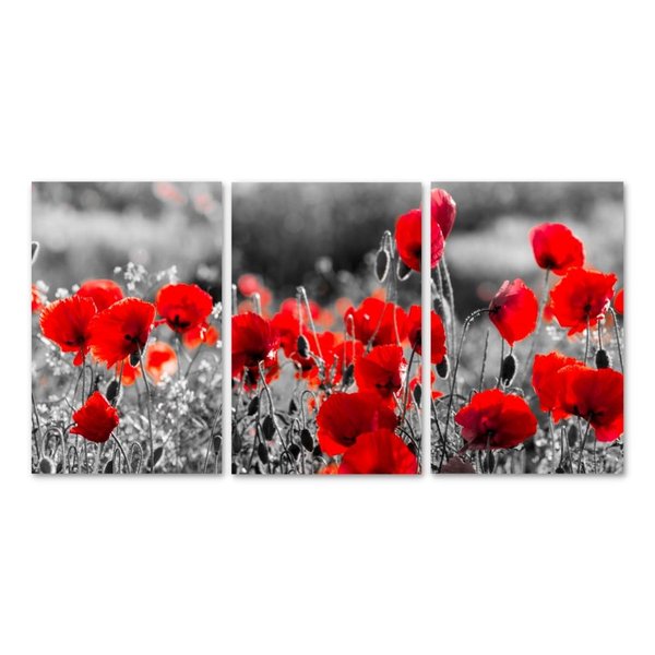 Kit 3 Placas Decorativas Flores Plantas Folhas 20x30 cm Mdf