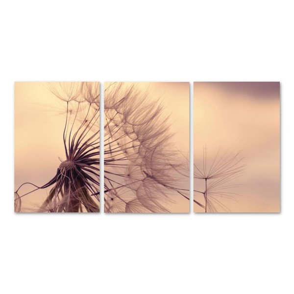 Kit 3 Placas Decorativas Flores Dentes de Leão 20x30 cm Mdf