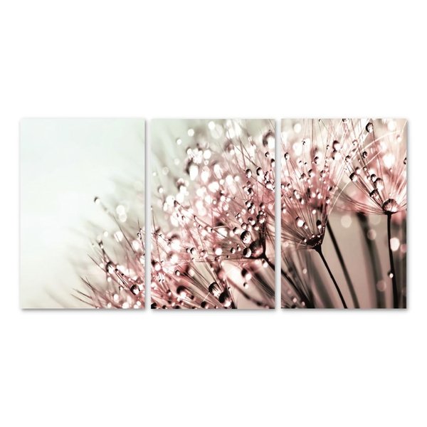 Kit 3 Placas Decorativas Plantas Dentes de Leão 20x30 cm Mdf