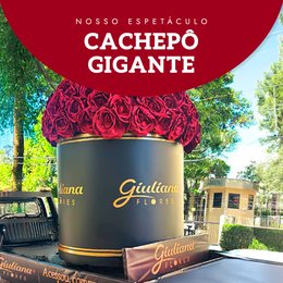 Imagem de Cachepô Gigante