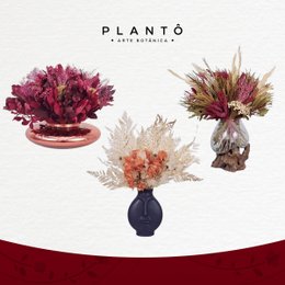 Imagem de Plantô Arte botânica