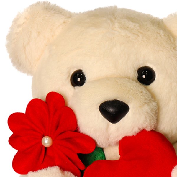 Urso Lovezinho