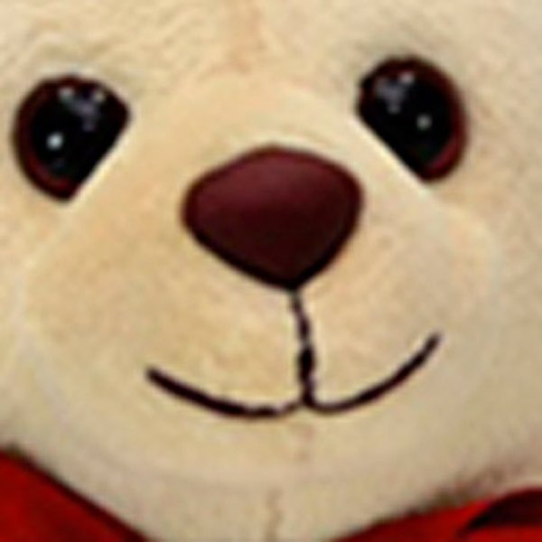 Ursinho Leleco