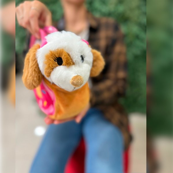Pelúcia Cachorro na Bolsinha P - Disney