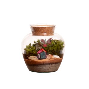 Imagem de Terrário Mini Mundo home
