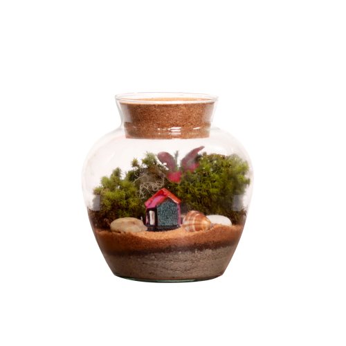 Terrário Mini Mundo home