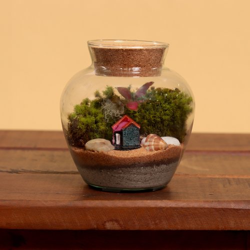 Terrário Mini Mundo home