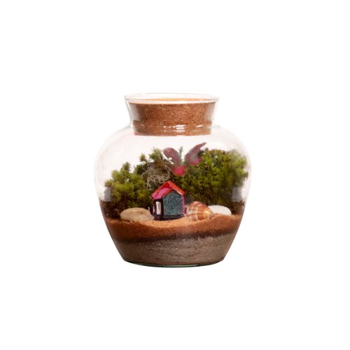 Terrário Mini Mundo home