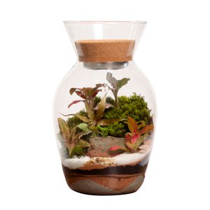 Imagem de Terrário Mini Mundo com Led