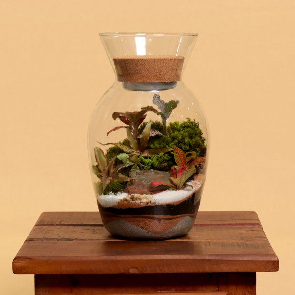 Terrário Mini Mundo com Led