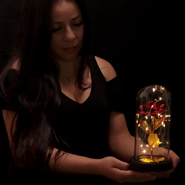 Rosa Encantada Luminária Vermelha