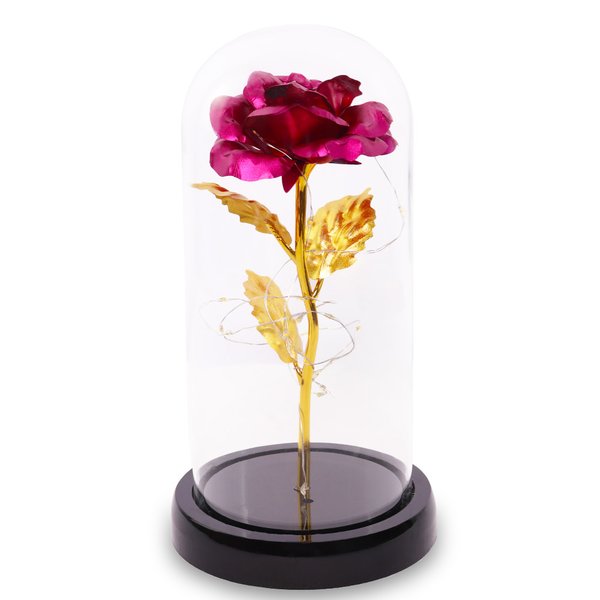 Rosa Encantada Luminária Púrpura