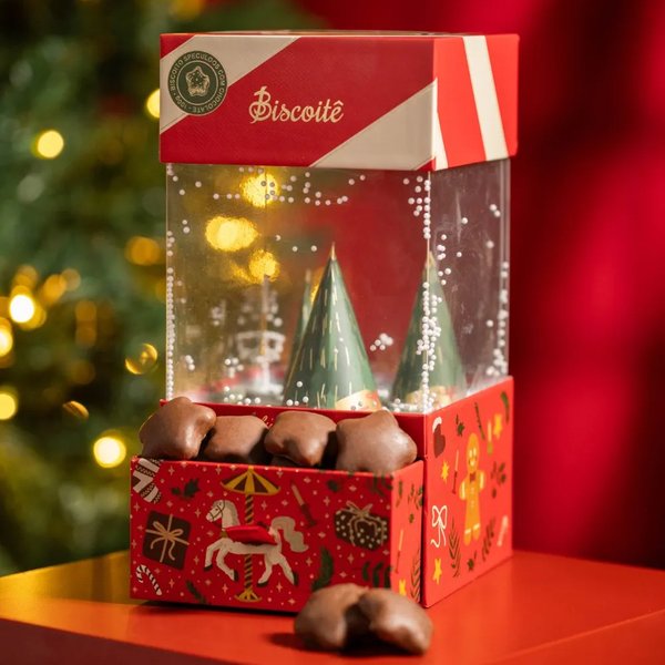 Caixa Floresta Mágica 100g - Biscoitê