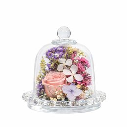 Imagem de Mini Jardim Encantado