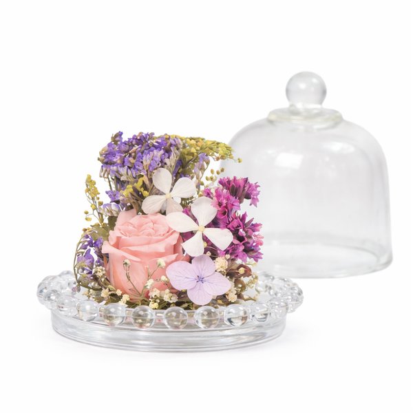 Mini Jardim Encantado